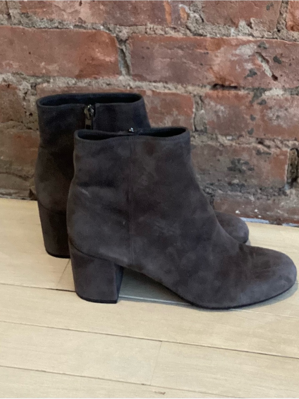 Vince suede booties